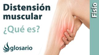 DISTENSIÓN MUSCULAR | Qué es, qué afecta, síntomas, causas y tratamiento fisioterapéutico