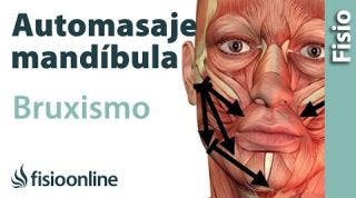 9.Auto-masaje de la mandíbula y musculatura de la masticación.