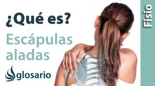 ESCÁPULAS ALADAS | ¿Qué es?