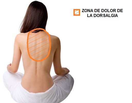 Ejercicios indicados para la Dorsalgia o dolor interescapular