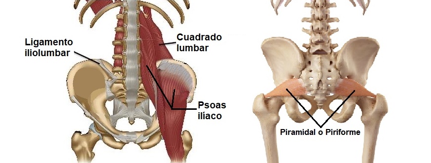 Dolor de cintura