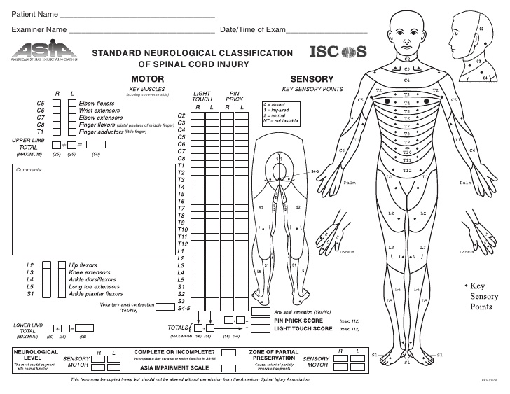 escala asia lesion medular